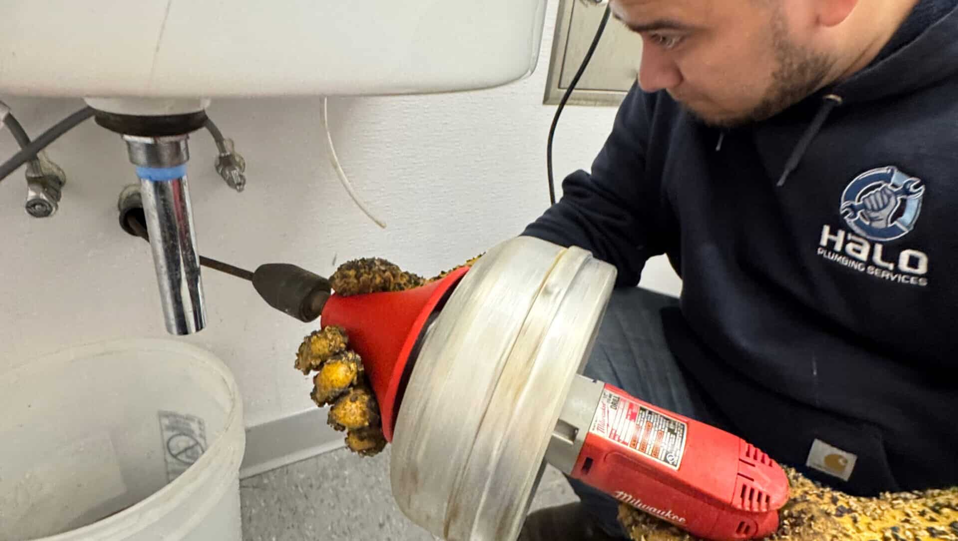 Halo Plumbing technician performing drain cleaning with professional equipment